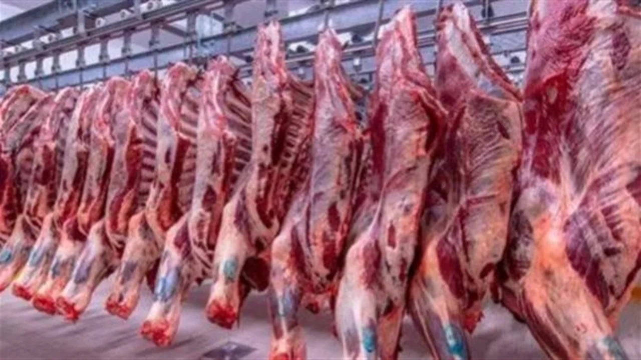 أسعار اللحوم في مصر.. تحديث يومي من المحلات والمنافذ الحكومية